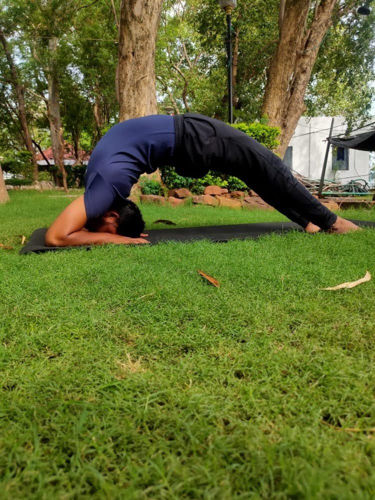 Mindful Movement