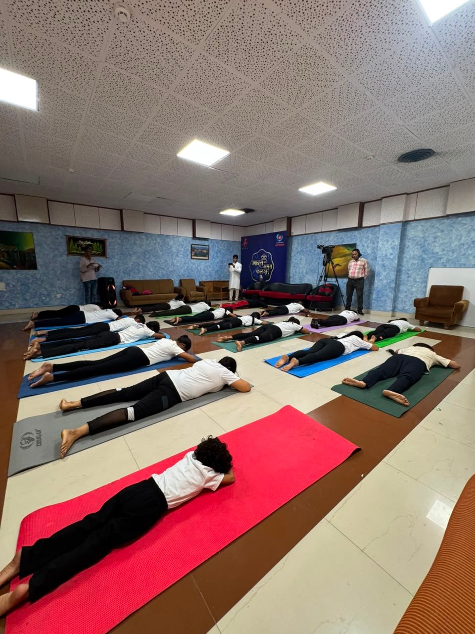 Mindful Movement