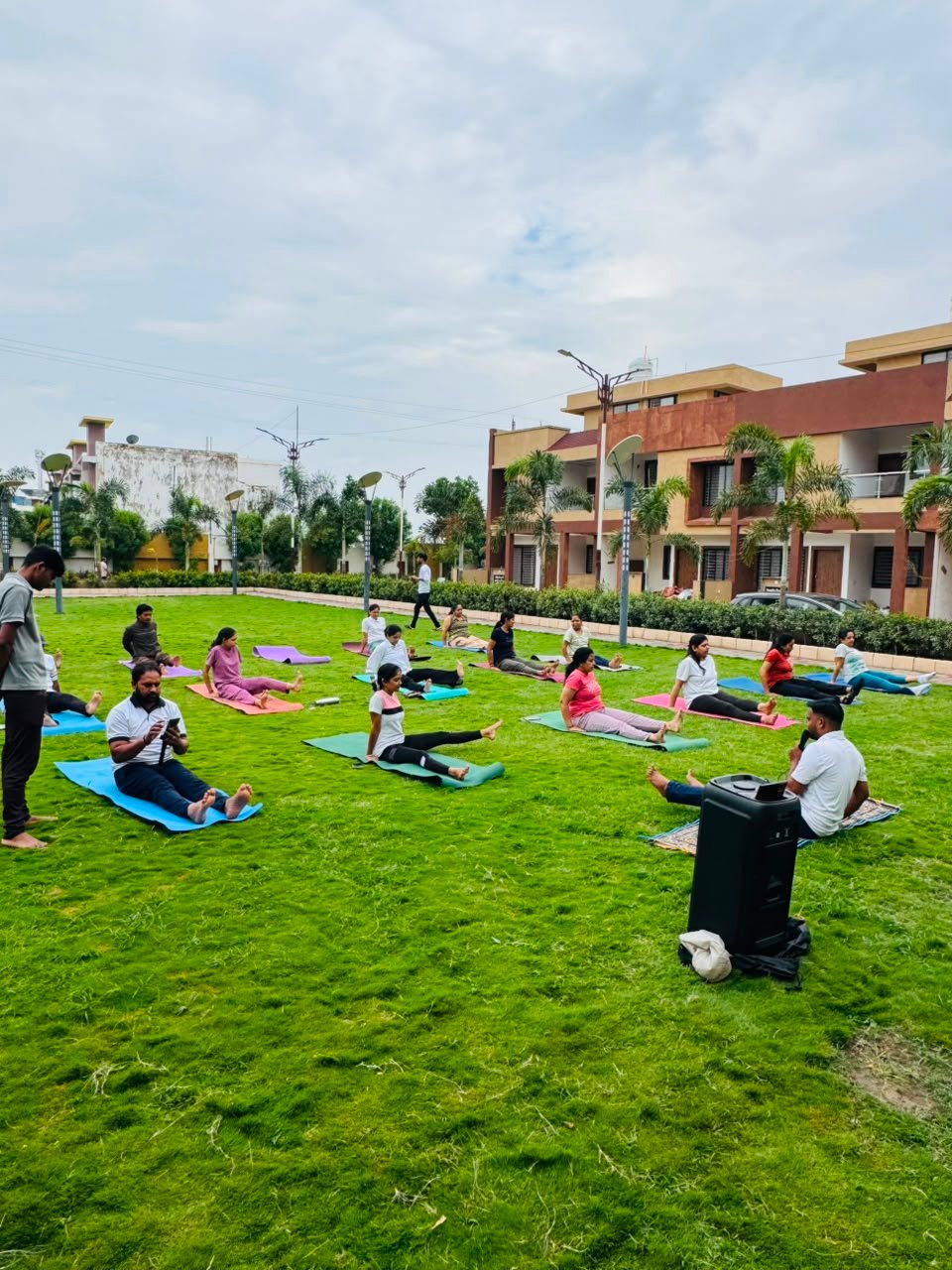 Mindful Movement