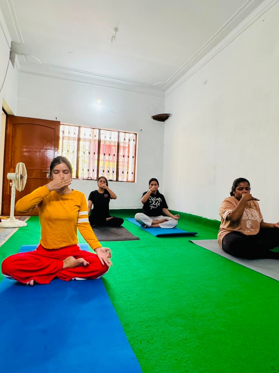 Asana Practice